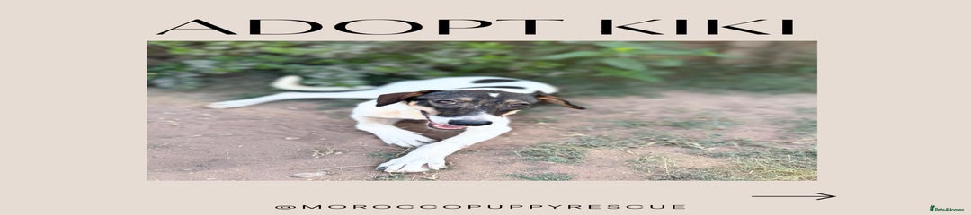 Kiki
