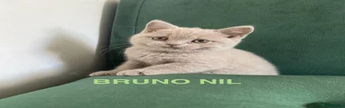 BRUNO NIL 