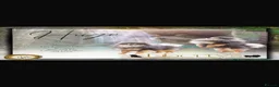 Pomeranian dogs for sale: Russian Pomeranian puppies - Advert 22