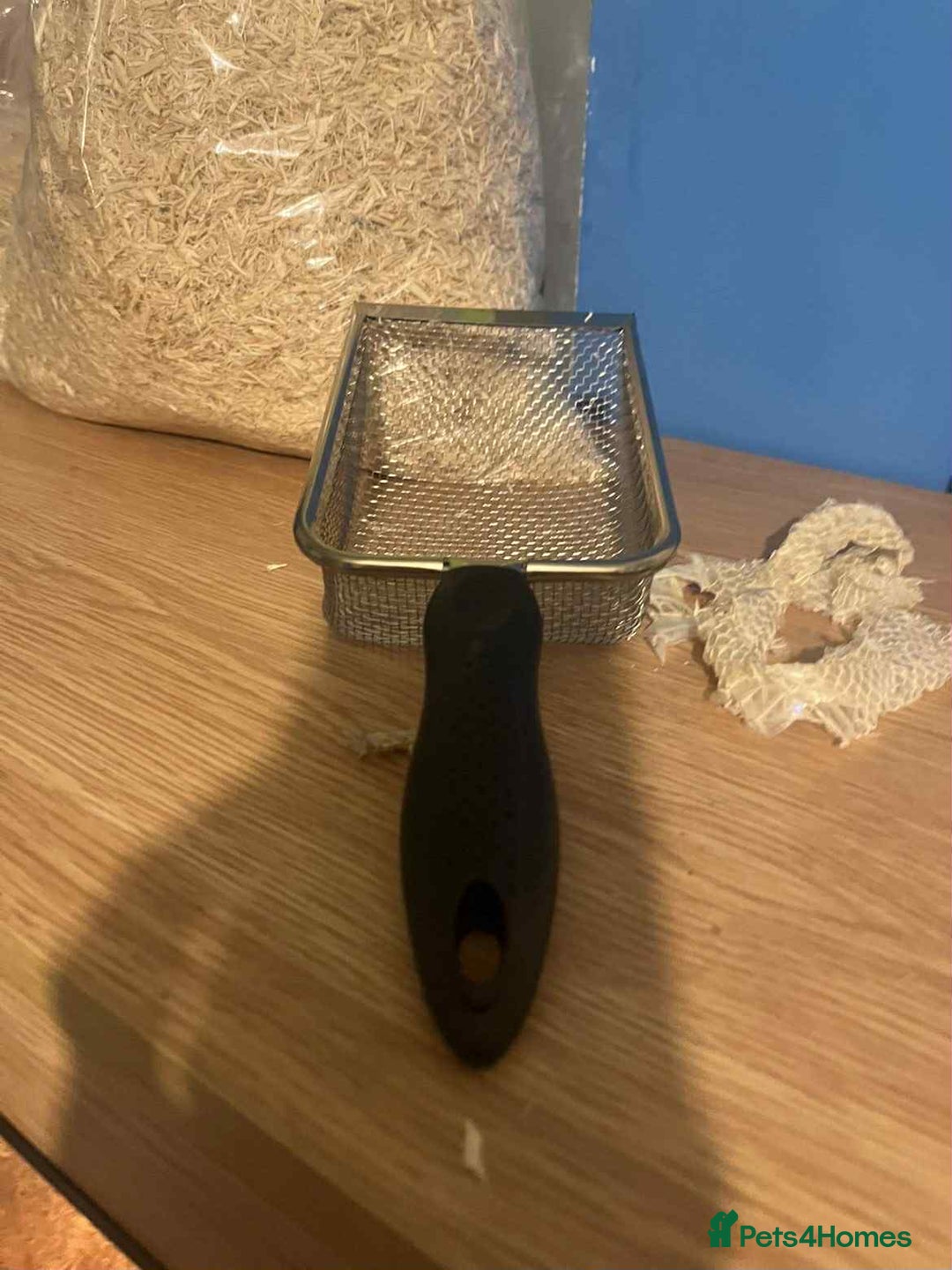 Corn Snake reptiles for sale: Corn snake and viv - Advert 3