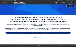 Bengal cats for sale: Cuddly charity donation pay monthly - Image 13