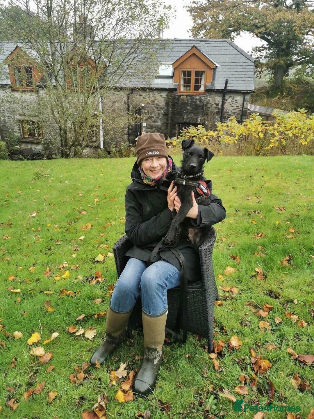 Mixed Breed dogs for adoption: 💙🐶 JAKE - Young Patterdale cross boy 🐶💙 in Wolverhampton - Advert 19
