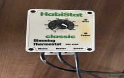 Leopard Gecko reptiles for sale: Male leopard gecko and all equipment  - Image 7