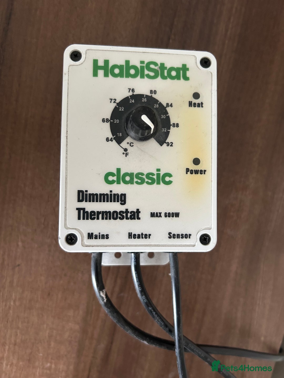 Leopard Gecko reptiles for sale: Male leopard gecko and all equipment  - Image 7