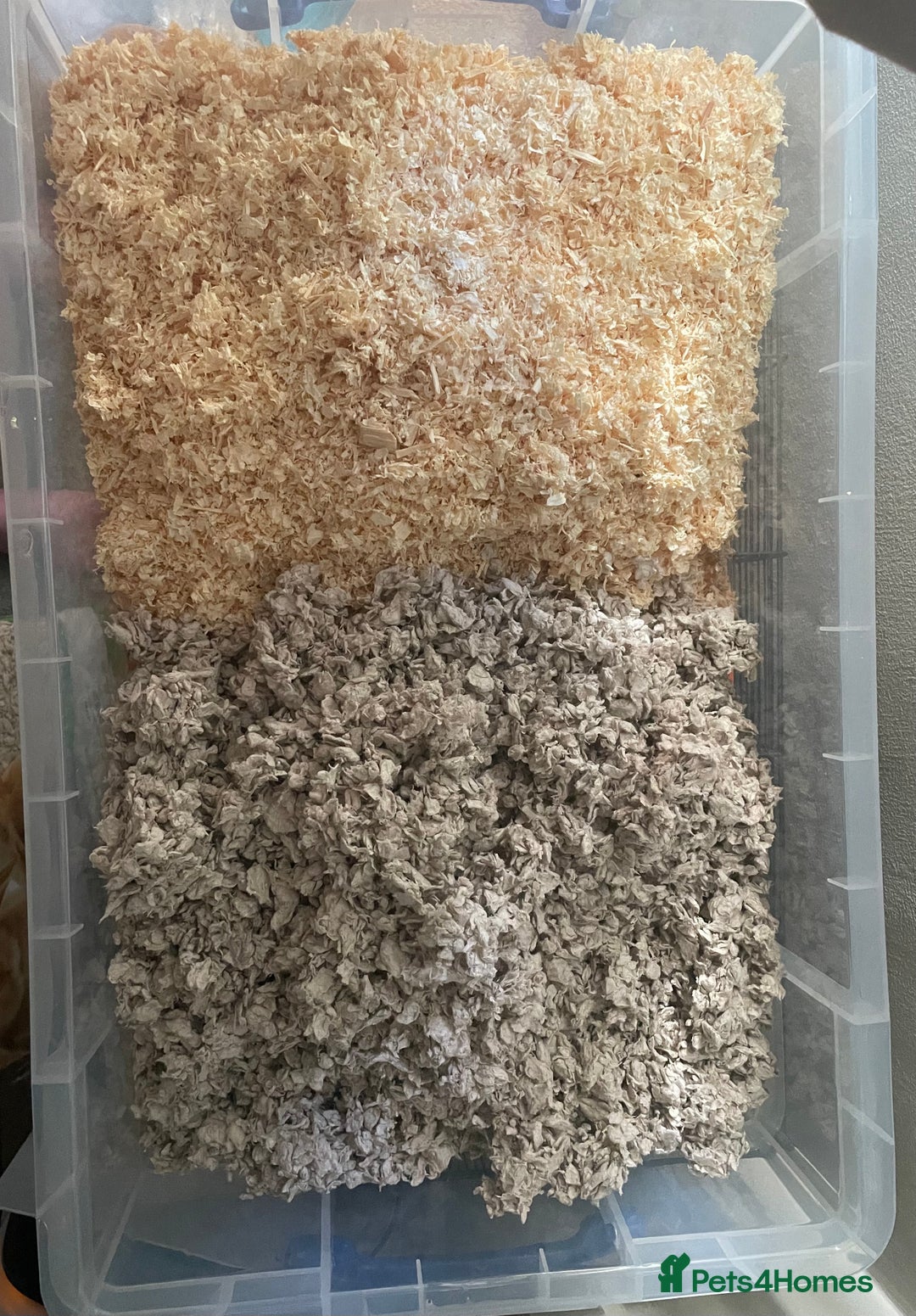 Gerbil rodents for sale: Whiskey and Bourbon male gerbils + set up/supplies - Image 10