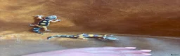 Leopard Gecko reptiles for sale: Leopard gecko babies  - Advert 2