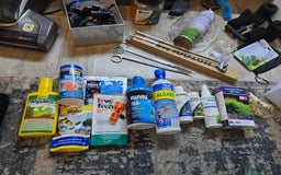 Angelfish fish for sale: Juwel Rio 180l - Image 15