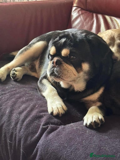 Gallery Image {{count}}