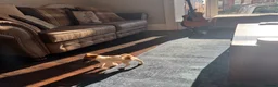 Jack Russell dogs for sale: Lively Jack Russell puppies - Advert 4