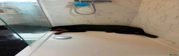 Rottweiler dogs for sale: Gorgeous Rottweiler puppy Nanci - Advert 3