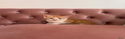 Mixed Breed cats for sale: Kittens  - Advert 6
