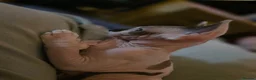 Sphynx cats for sale: Odd eyed pedigree sphynx kitten  Health Guarantee  - Advert 6
