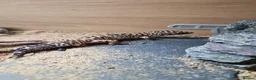 Leopard Gecko reptiles for sale: Leopard Gecko & Set Up in Havant - Advert 4