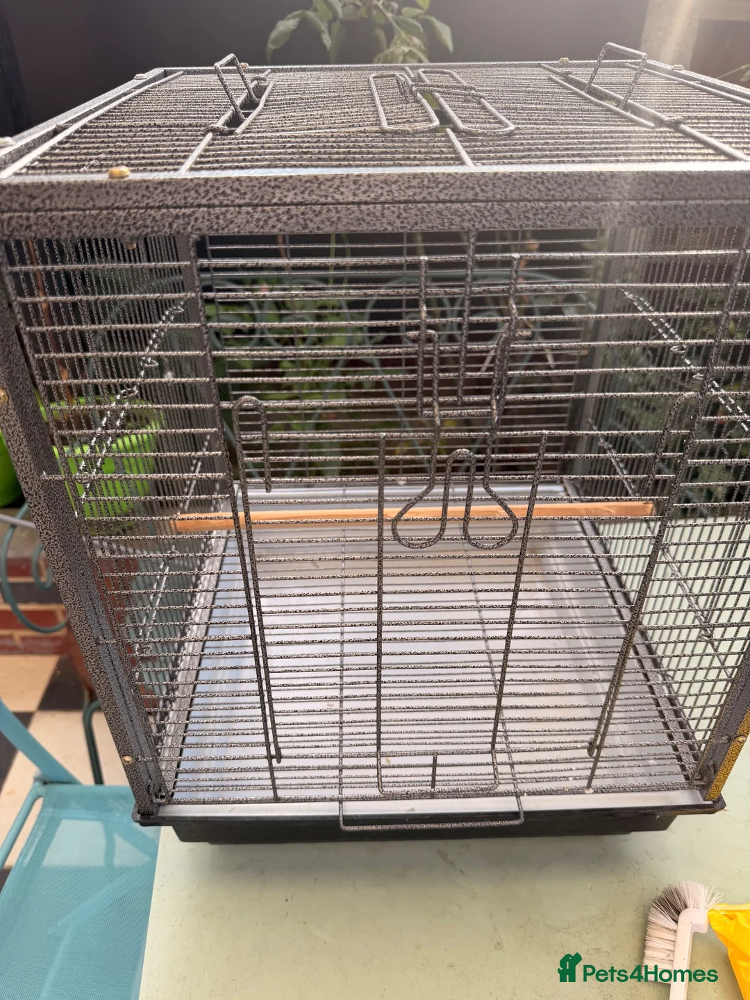 Budgerigars birds for sale: Two Budgies with Cage and Accessories in London - Advert 13