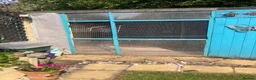 Finches birds for sale: MIXED FINCHES  in Coalville - Advert 1