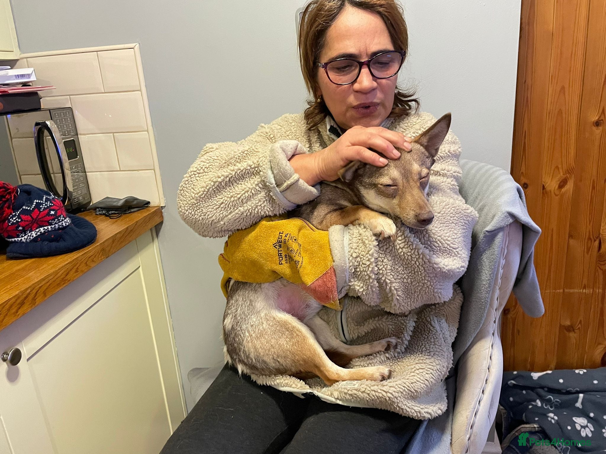 Mixed Breed dogs FOXY - a Lovely, shy girl, for a very Loving Home - Advert 6