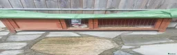 Guinea Pig rodents for sale: Guinea pigs x2 - Advert 1
