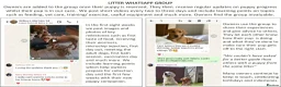 Labrador Retriever dogs for sale: Stunning Red Fox Labs : Health Checked-KC Reg-FTCH - Advert 33