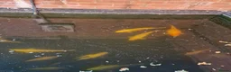 Koi Carp fish for sale: Koi carp in Preston - Advert 4