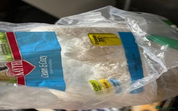 Gerbil rodents for sale: 6 Months Male Gerbils w/ Skyline Falco 80  + more - Image 5
