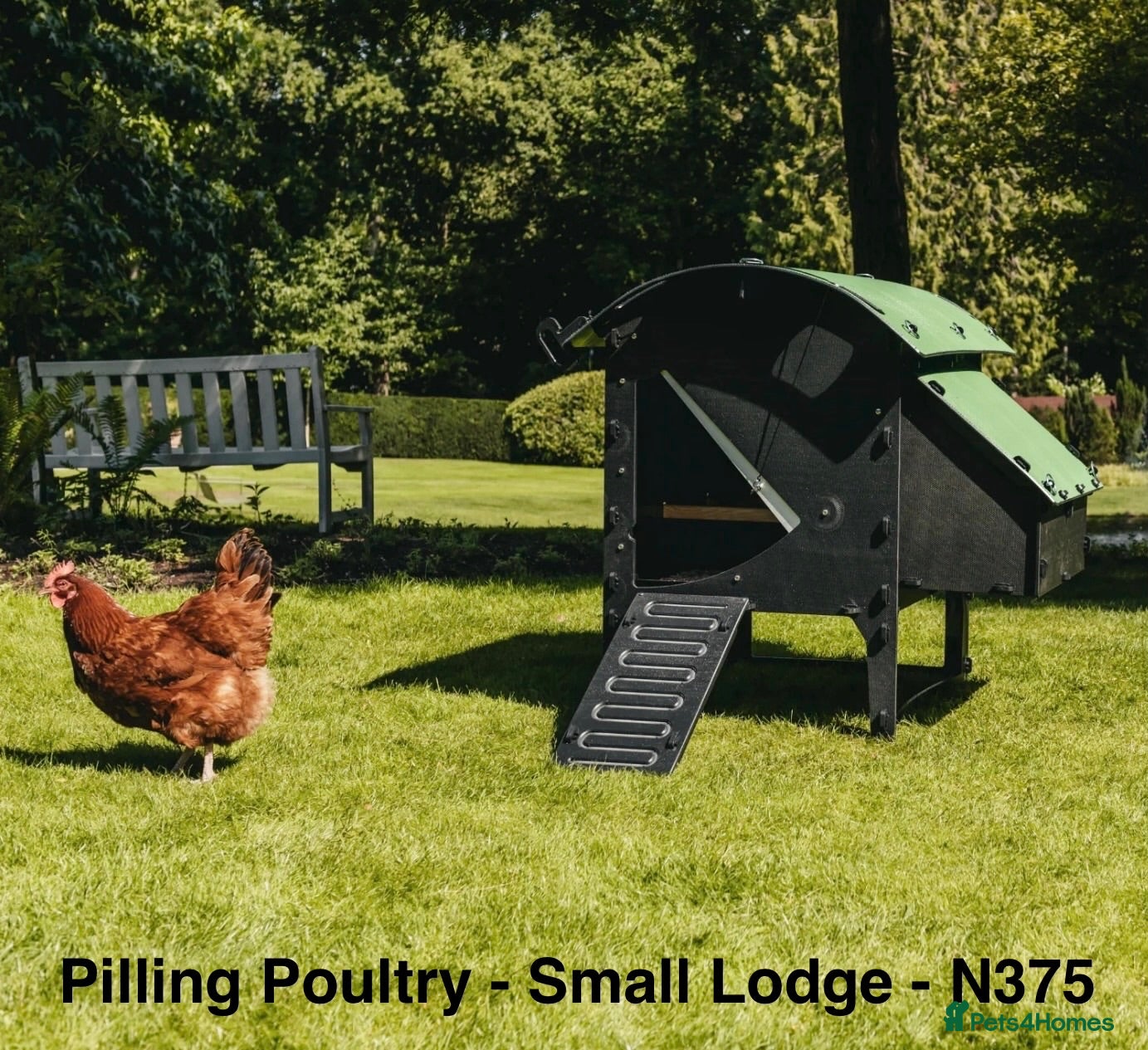 Chickens poultry Pilling Poultry - Chicken Lodge - Small - Advert 2