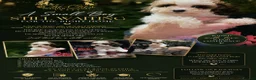 Cavapoo dogs for sale: WAITING LIST  - Advert 11