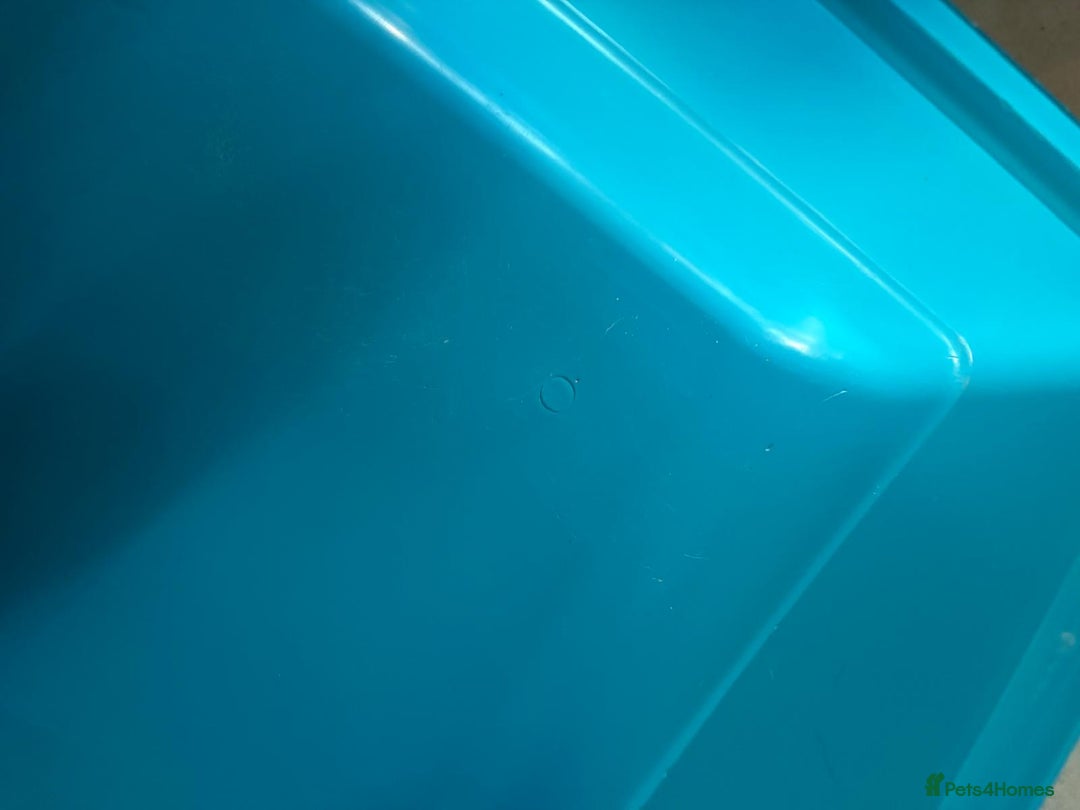 Hamster rodents for sale: Syrian hamster cage plus add ins - Advert 5