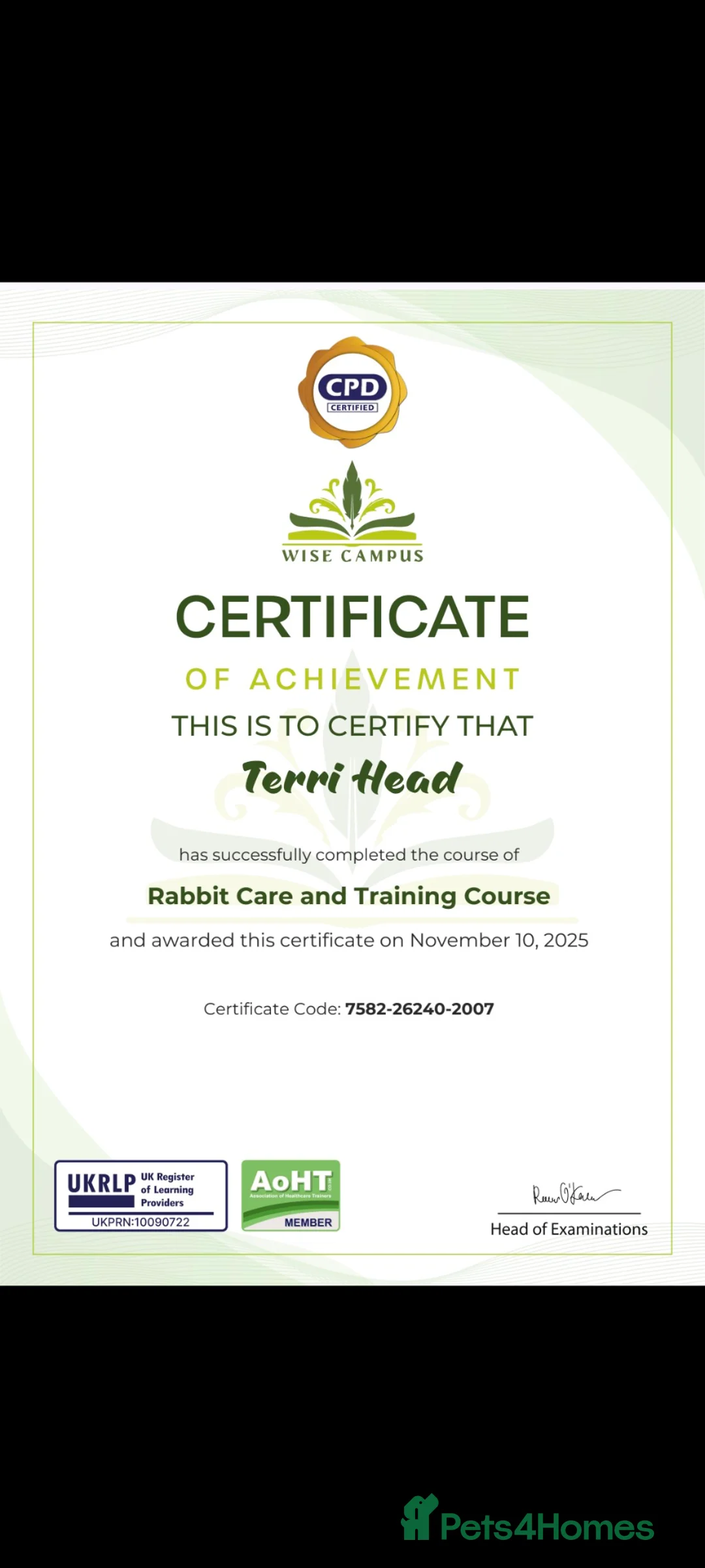 Mini Lop rabbits for sale: Pure bred mini lops for reserve - Advert 8