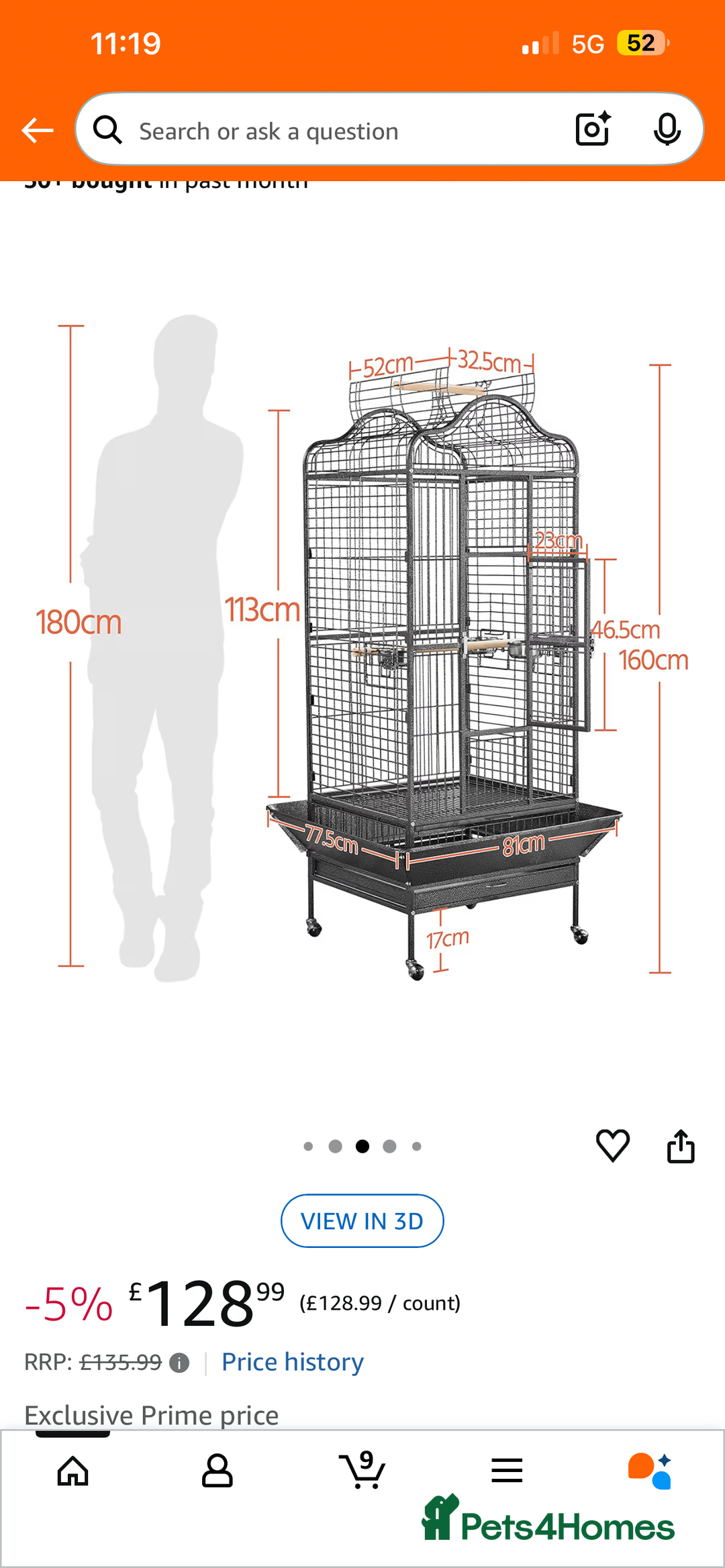Parakeets birds for sale: Alexandrine parrot Ring neck  - Advert 5