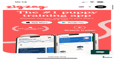 Cavalier King Charles Spaniel dogs - Advert 1