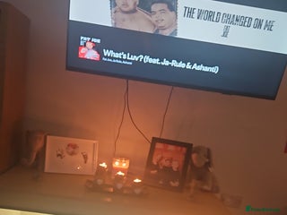 Bearded Dragon reptiles Besrded Dragon - Advert 8