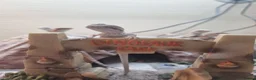 Bearded Dragon reptiles for sale: Baby bearded dragons in Hitchin - Advert 5