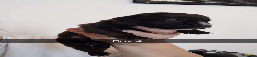 Boy 4 