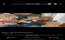 Cavapoo dogs for sale: Beautiful Health Tested F1 Cavapoos 🐶 - Image 26