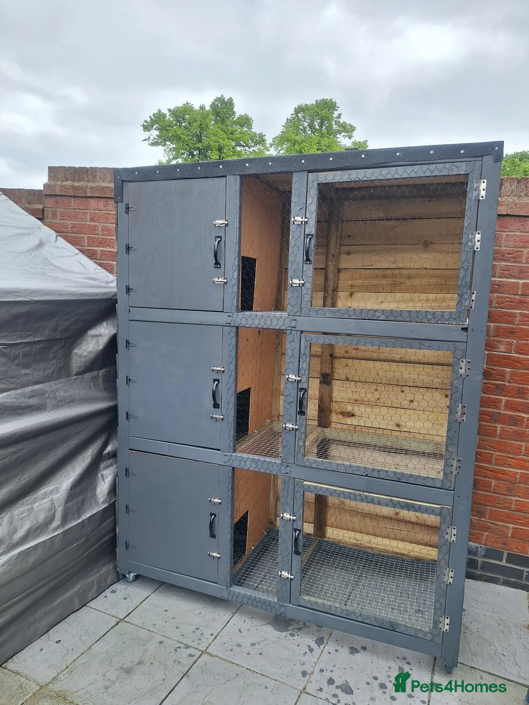 Mixed Breed rabbits for sale: New Zealand cross Californian rabbits Colony - Advert 19