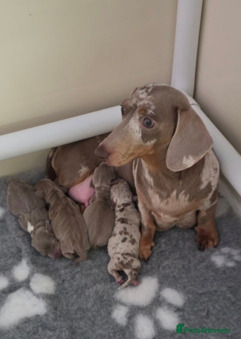 Winnie 