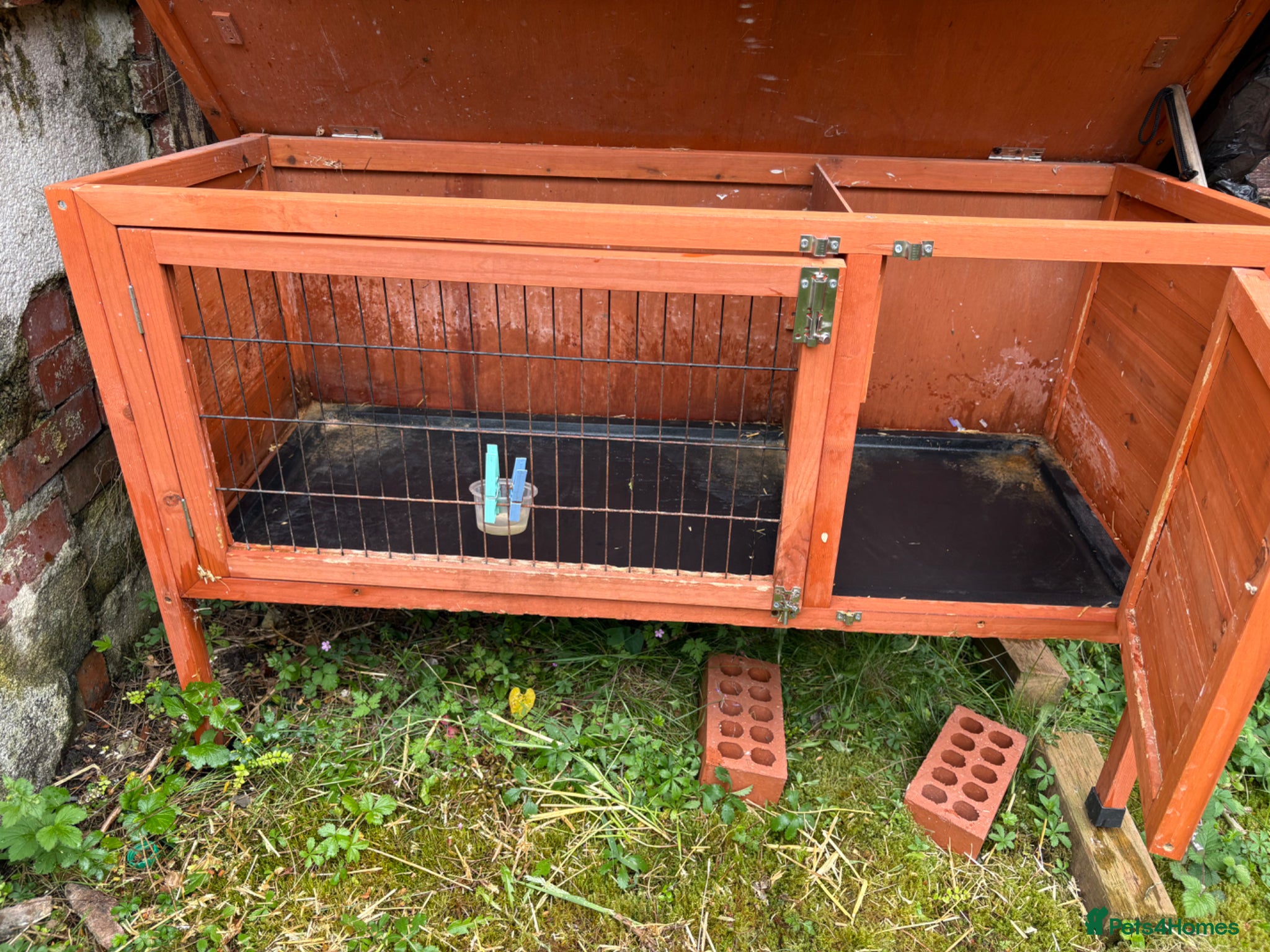 New Zealand rabbits Rabbit Hutch - Advert 10