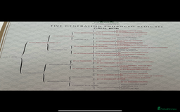 Cocker Spaniel dogs for sale: Make Working cocker spaniel puppies  - Image 16