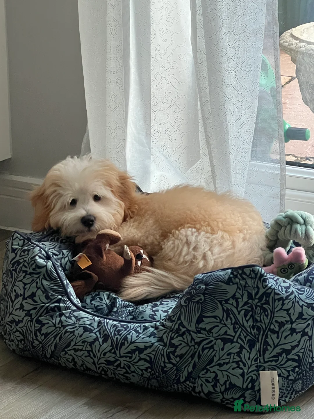 Gallery Image {{count}}