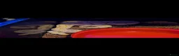 Python Snake reptiles for sale: Banana python  - Advert 1