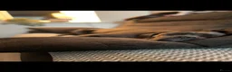 Cane Corso dogs for stud: Male cane corso stud - Advert 7