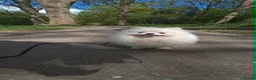 Pomeranian dogs for sale: Adorable Small Pure White Pomeranian Male - Advert 1