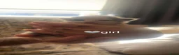 Maine Coon cats for sale: Maine coon x British shorthair kittens - Advert 14