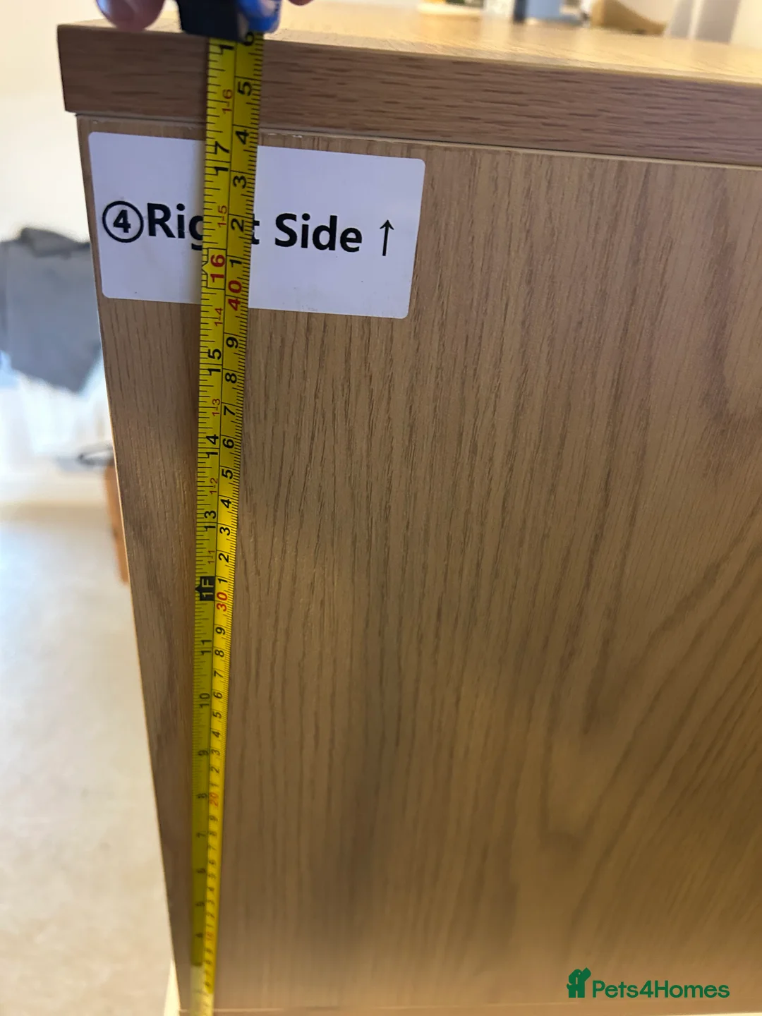 Bearded Dragon reptiles for sale: 1 year old female bearded dragon with enclosure  - Advert 11