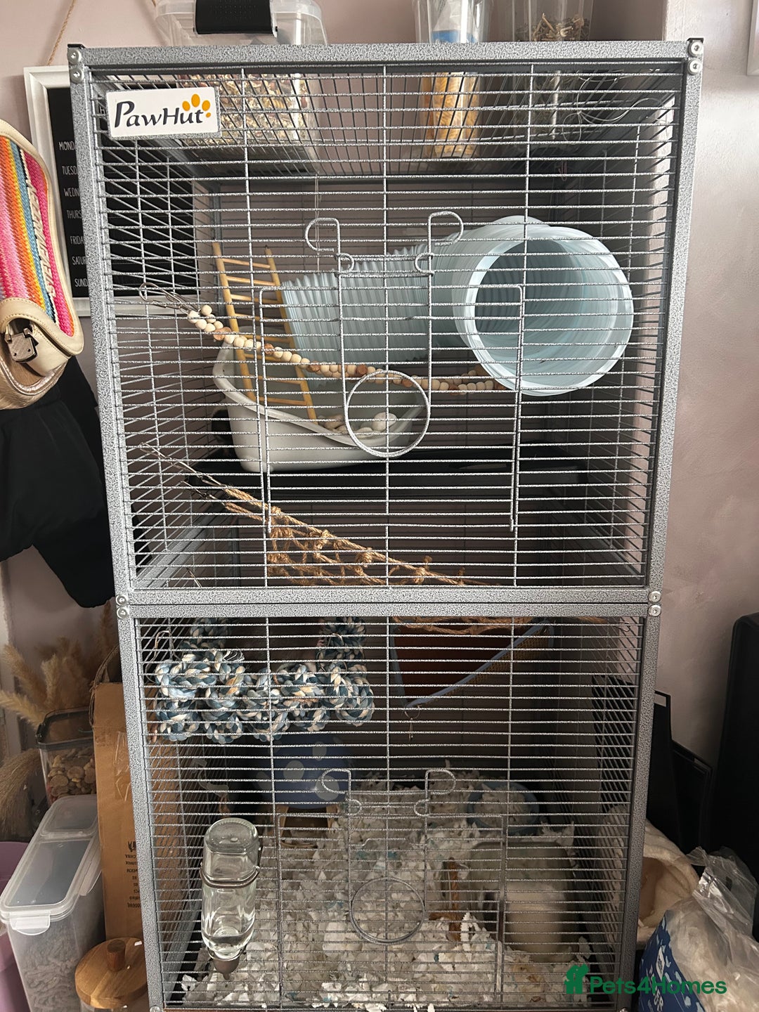 Rat rodents for sale: 3 female baby rats  - Image 1