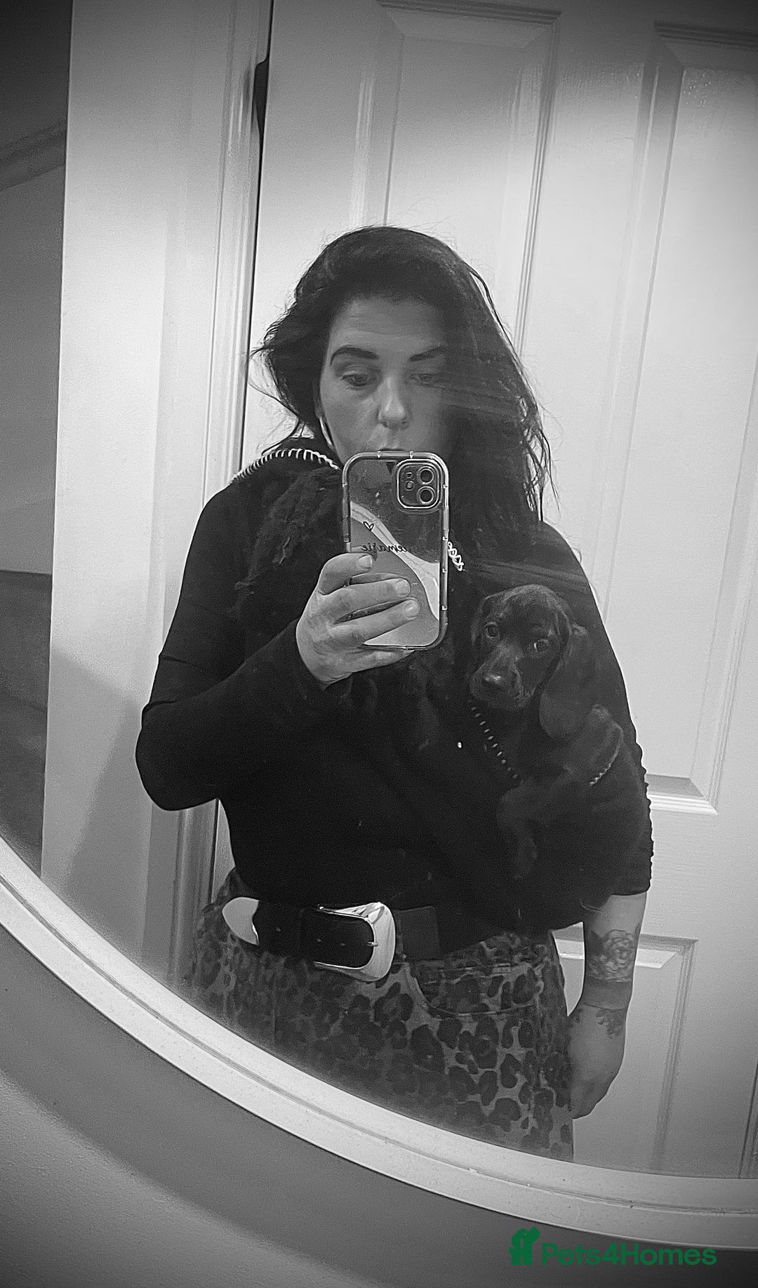 Mixed Breed dogs for sale: Black puppy with white strip on chest  - Image 5