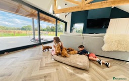 Cockapoo dogs for sale: Beautiful F1 Red/Golden Cockapoo Puppies - Image 4