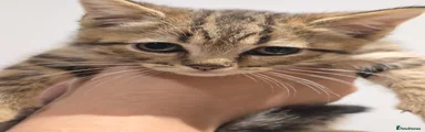 Boy 4