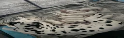 Dalmatian dogs for sale: 🐾 Stunning KC Pedigree Dalmatian Puppies 🐾 - Advert 1