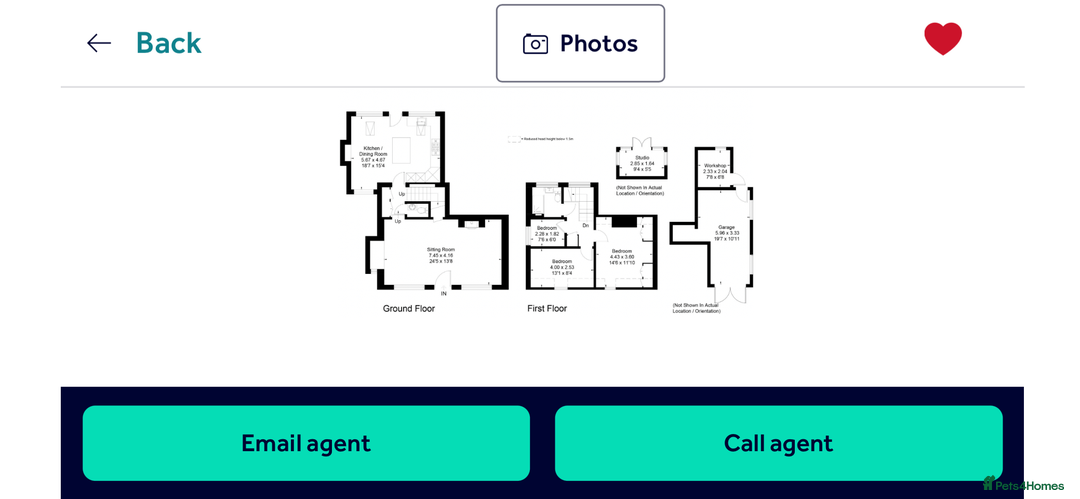 Ragdoll cats for sale: Blue Tortie Lynx kittens pure ragdolls - Advert 32